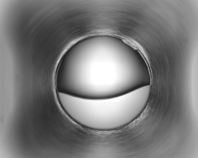 X0000096471389200801241129
