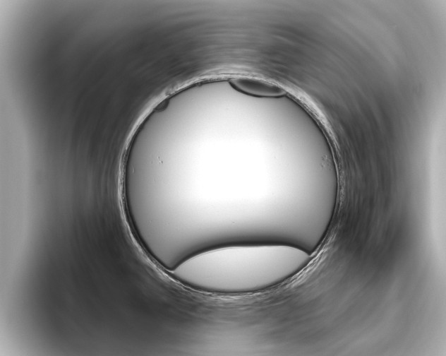X0000096471390200801241129