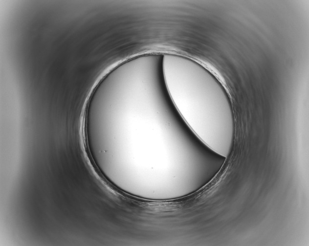 X0000096471391200801241129
