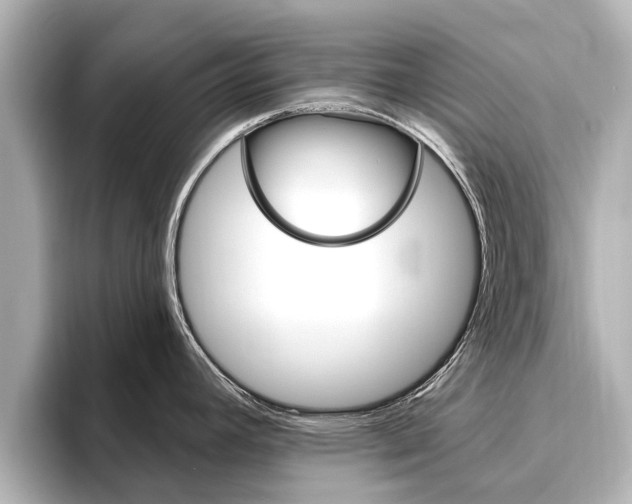 X0000096471392200801241129