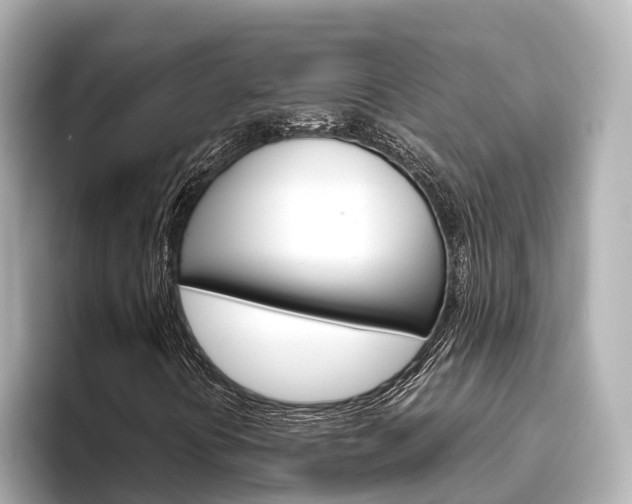 X0000096471394200801241128