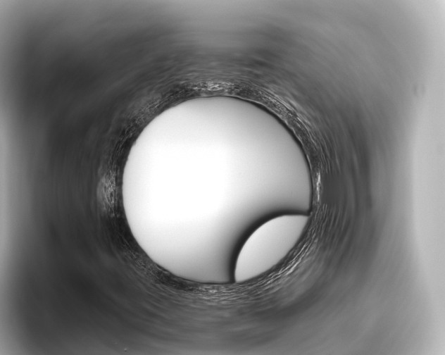 X0000096471395200801241128