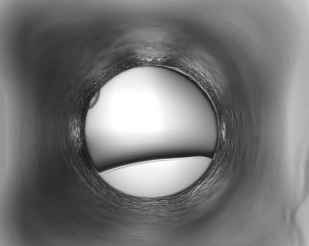X0000096471396200801241129