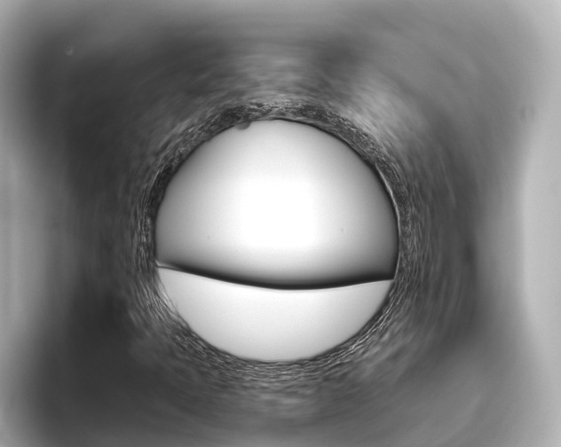 X0000096471397200801241129