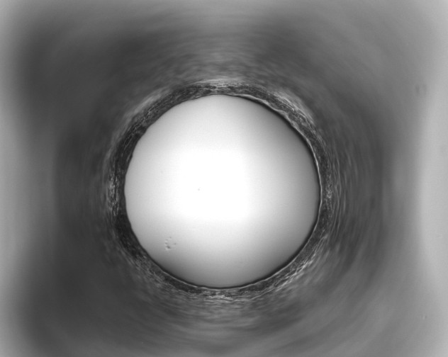 X0000096471398200801241129