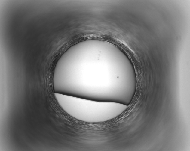 X0000096471399200801241129
