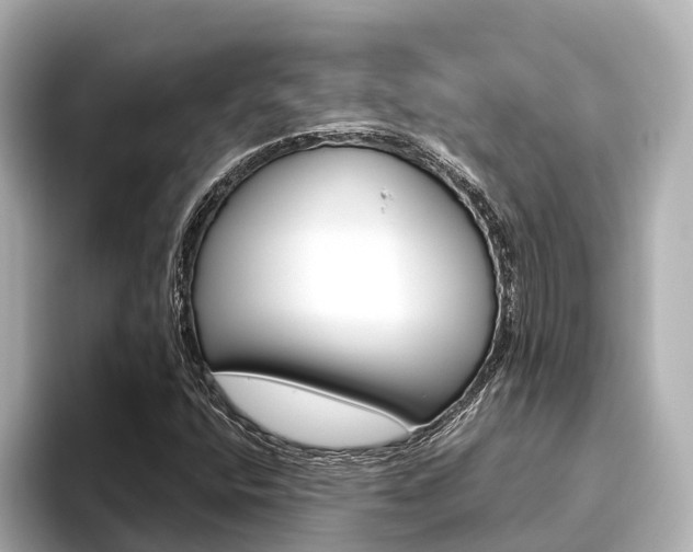 X0000096471400200801241129