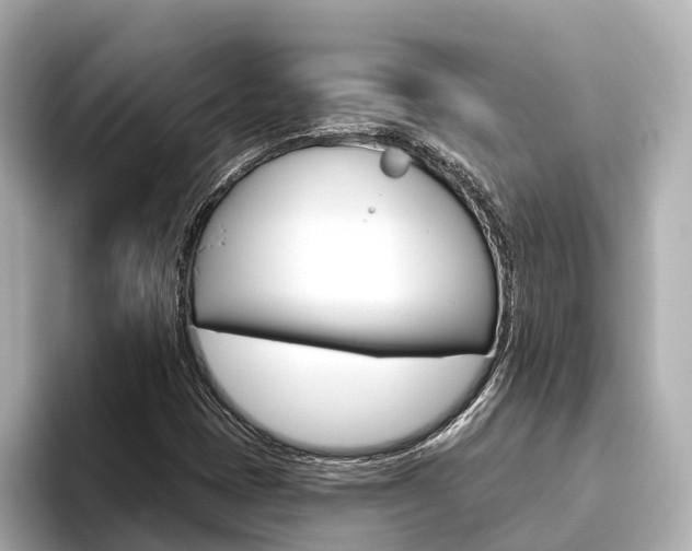 X0000096471401200801241129
