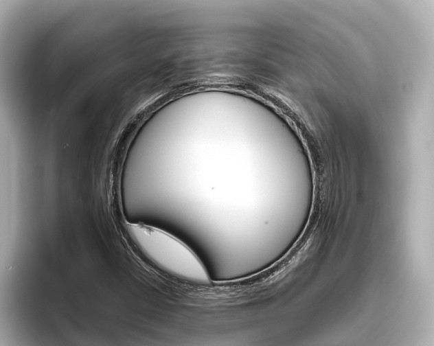 X0000096471402200801241129