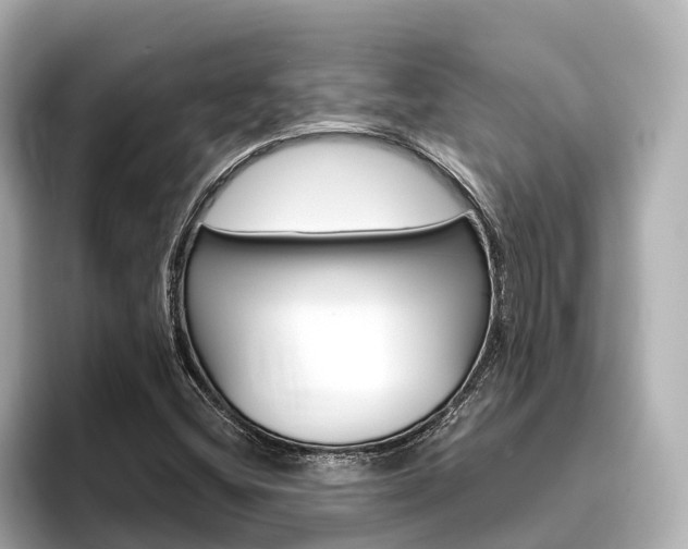 X0000096471404200801241129