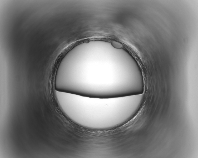 X0000096471407200801241129