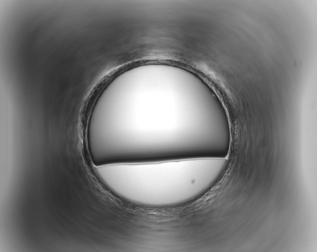 X0000096471408200801241129