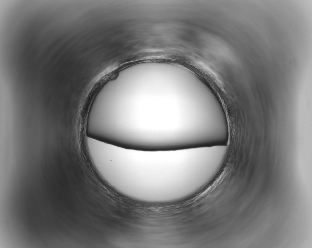 X0000096471411200801241129