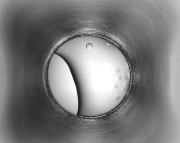 X0000096471413200801241129