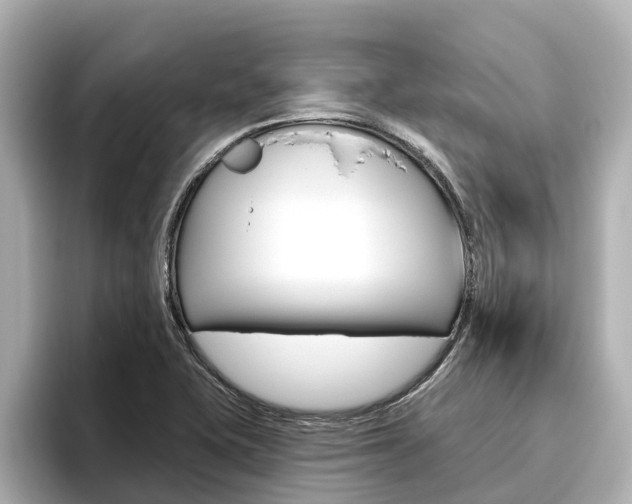 X0000096471415200801241129