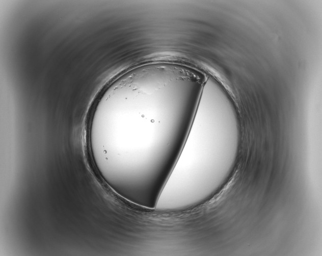 X0000096471418200801241129