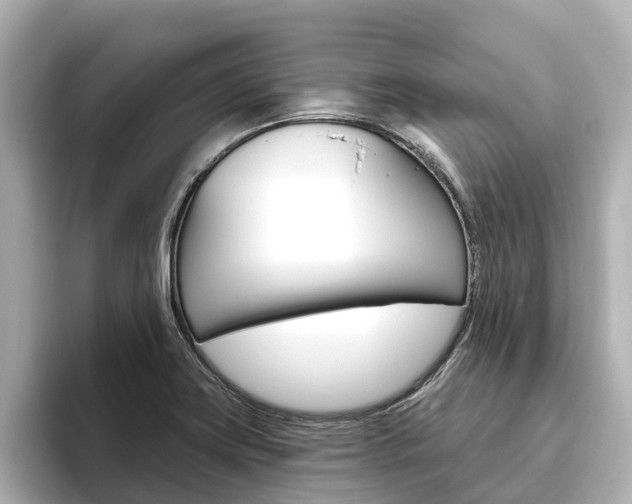 X0000096471419200801241129