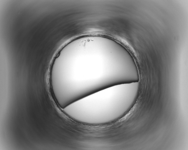 X0000096471421200801241129
