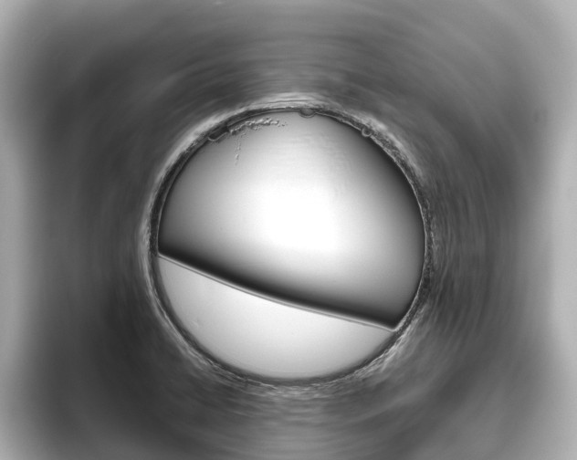 X0000096471422200801241129