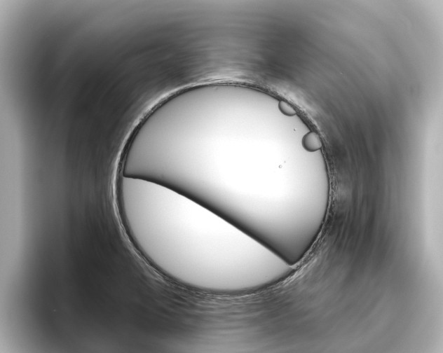 X0000096471423200801241129