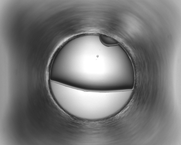 X0000096471424200801241129