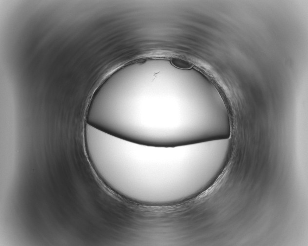 X0000096471425200801241129