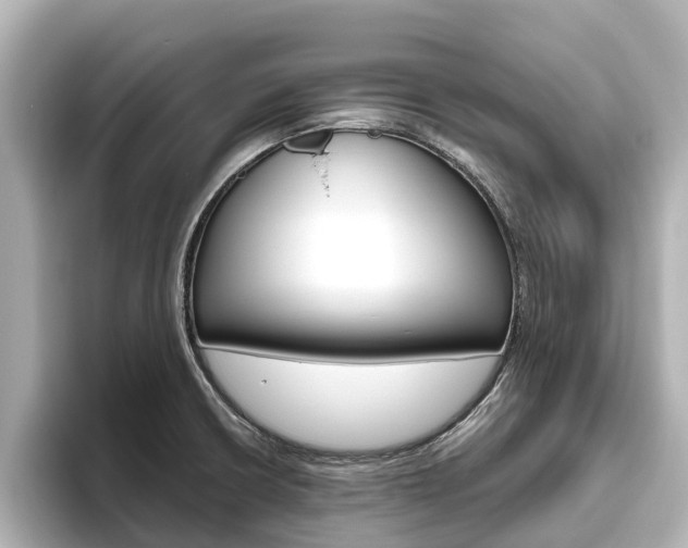 X0000096471426200801241129