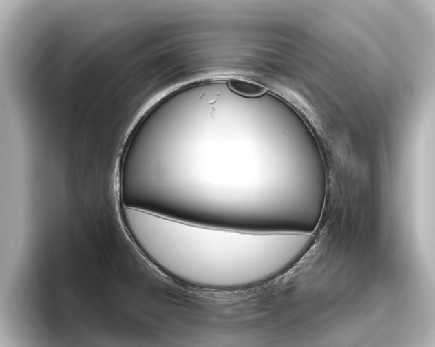 X0000096471428200801241129