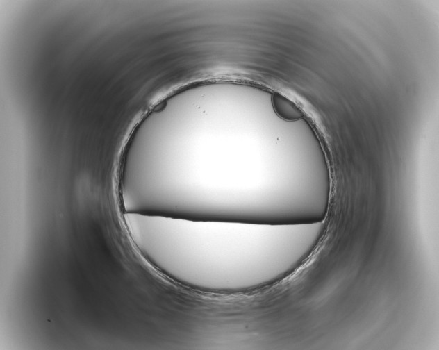 X0000096471429200801241129