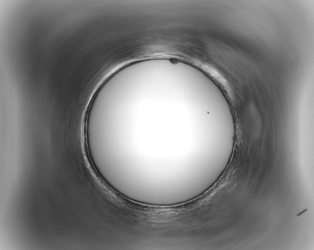 X0000096471431200801241129