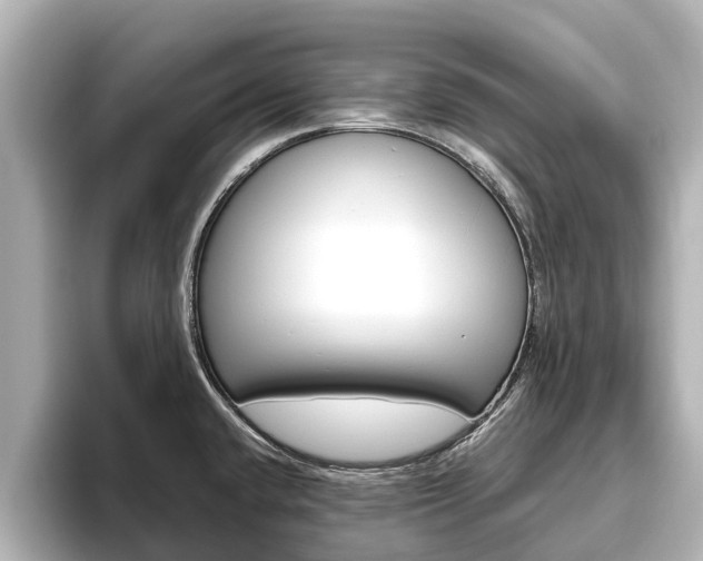 X0000096471432200801241129