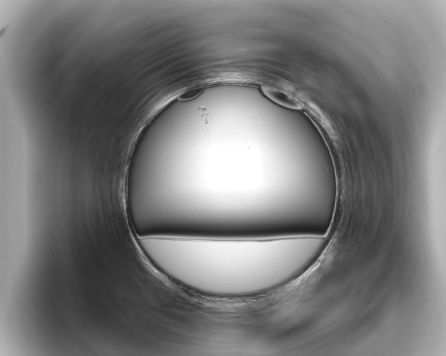 X0000096471433200801241129