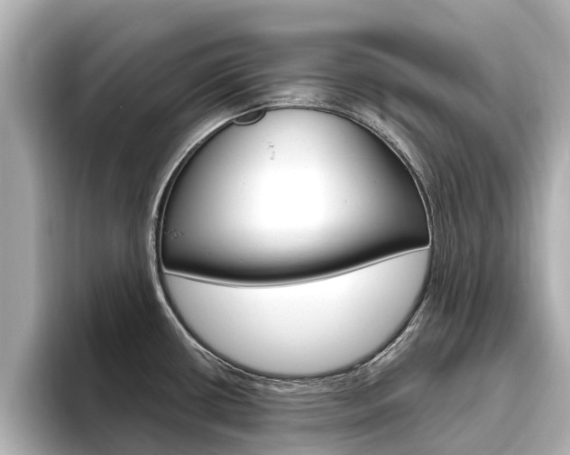 X0000096471434200801241129