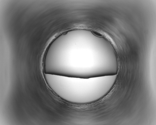 X0000096471435200801241129