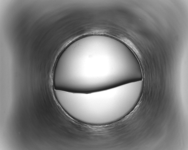 X0000096471436200801241129