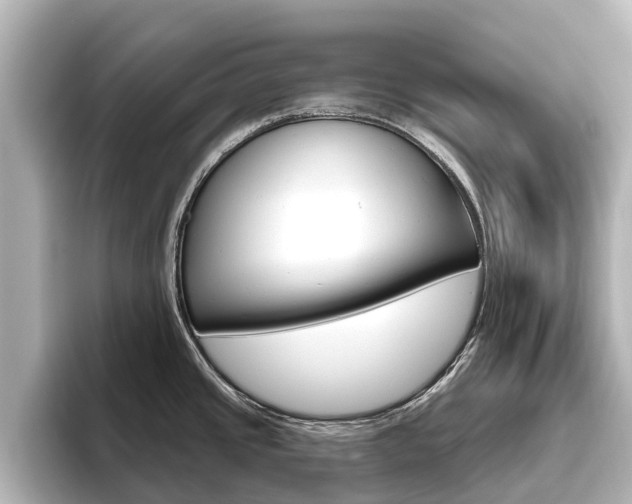 X0000096471437200801241129