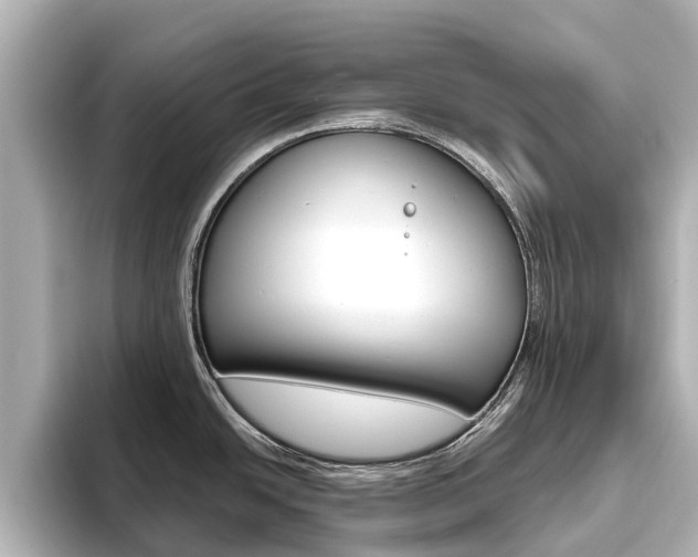 X0000096471438200801241129