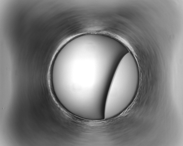 X0000096471440200801241129
