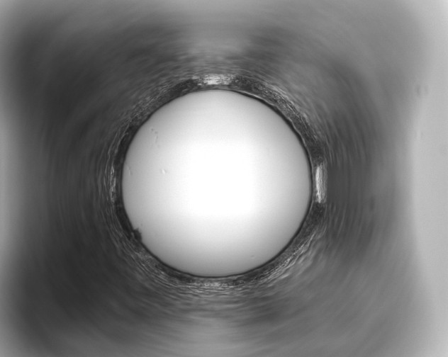 X0000096471443200801241128