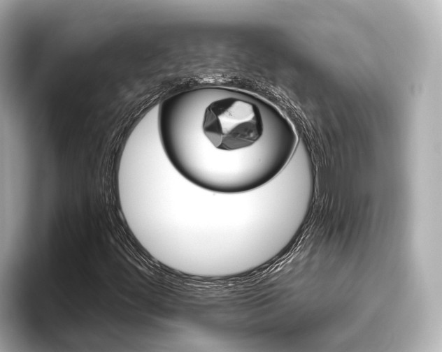X0000096471444200801241128