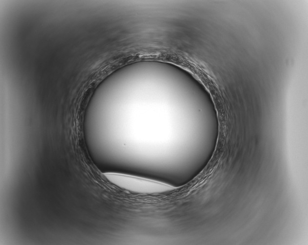 X0000096471445200801241128