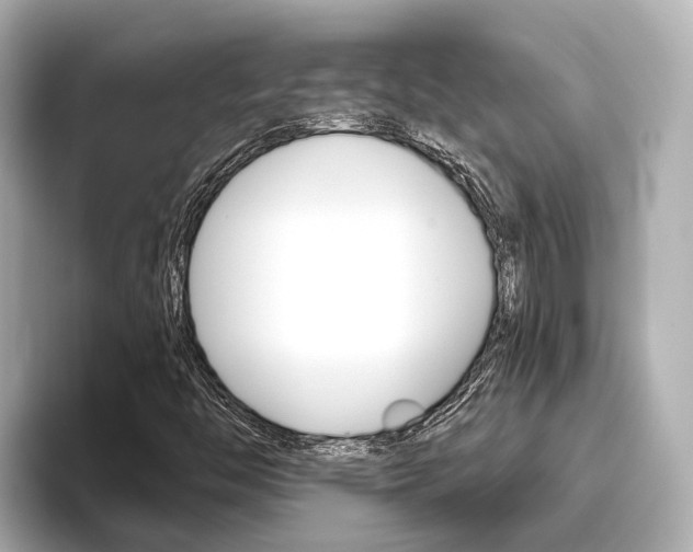 X0000096471446200801241128
