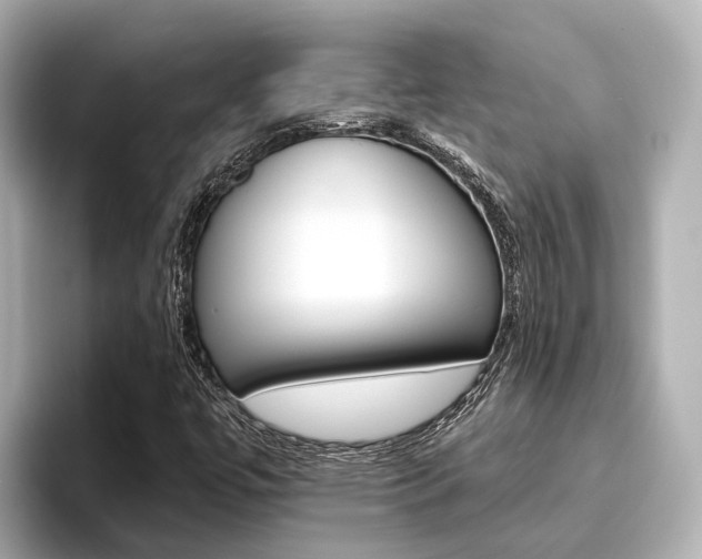 X0000096471447200801241128