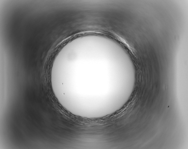 X0000096471448200801241128