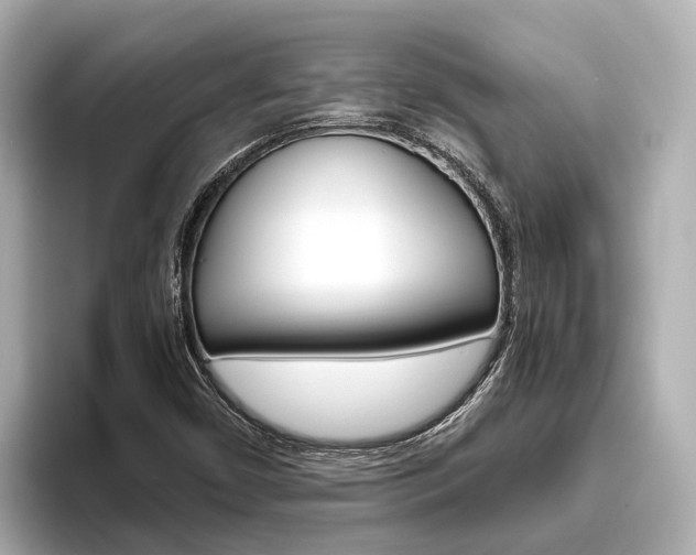 X0000096471450200801241128