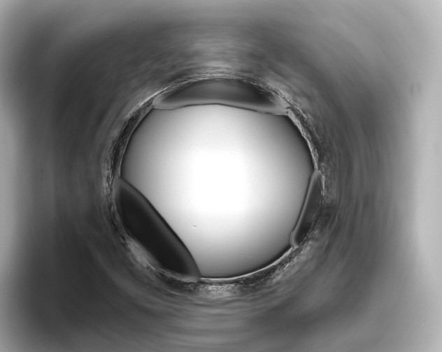 X0000096471453200801241128