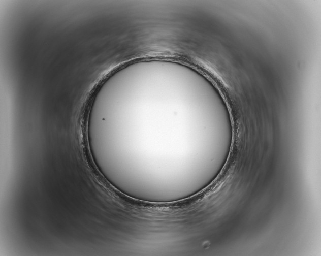 X0000096471455200801241128