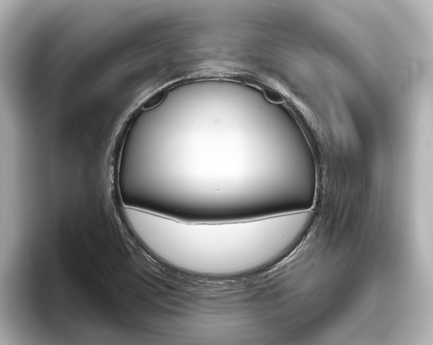 X0000096471459200801241128