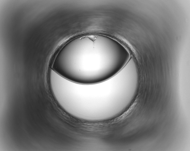X0000096471461200801241128