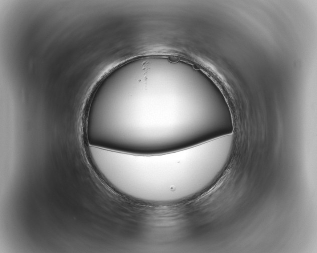 X0000096471463200801241128
